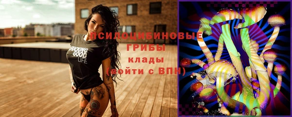 a pvp Богородск