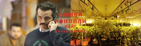 прущая мука Беломорск